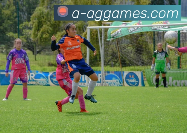 AG旗舰厅官网发展历程